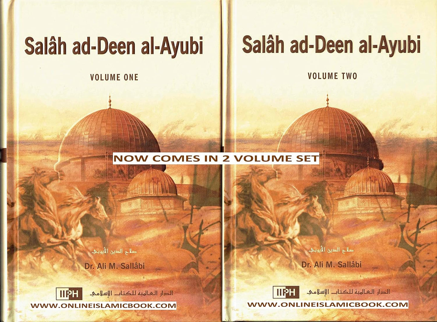 Salah Ad Deen Al Ayubi Volumes 1,2 & 3 by Dr Sallabi