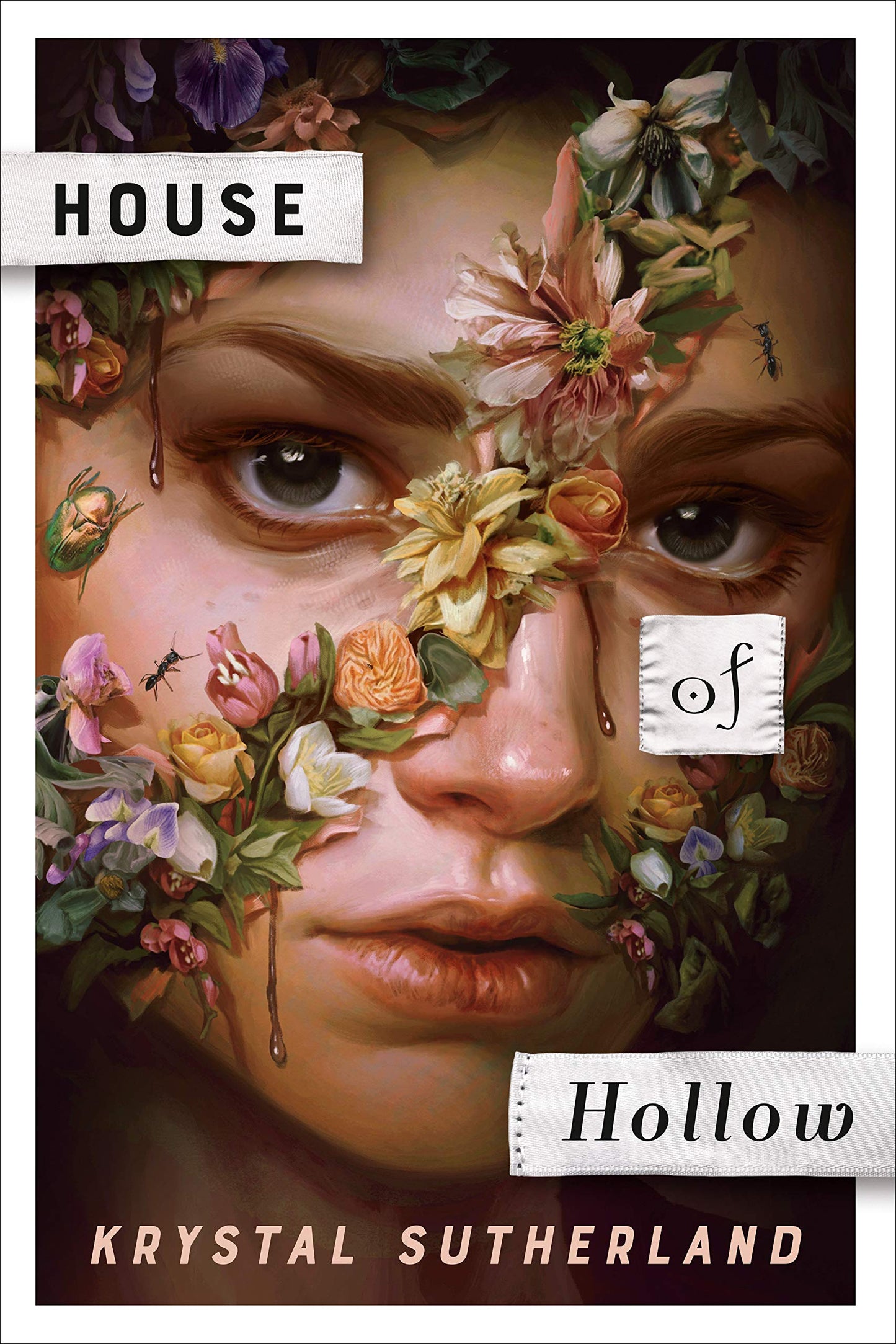 House of Hollow Book by Krystal Sutherland