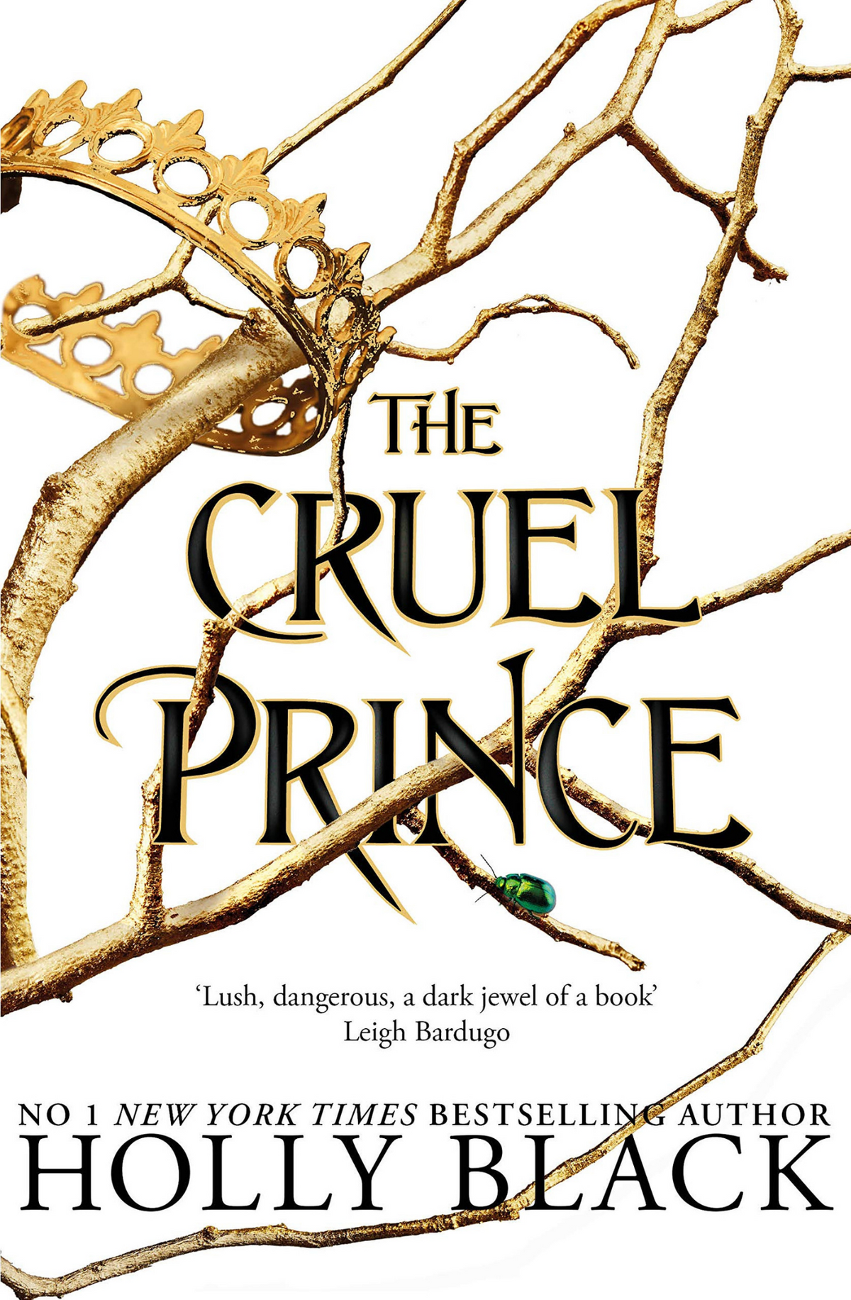The Cruel Prince Book by Holly Black
