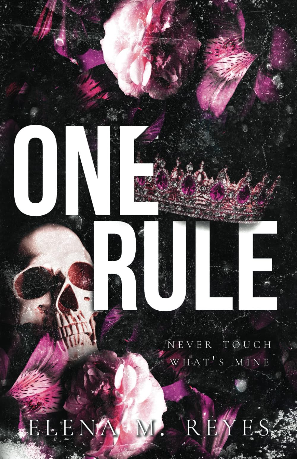 One Rule by Elena M. Reyes