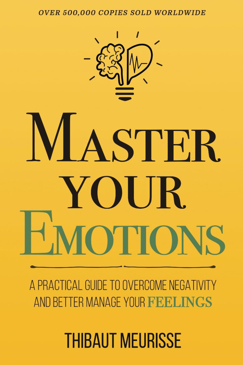Master Your Emotions by Thibaut Meurisse