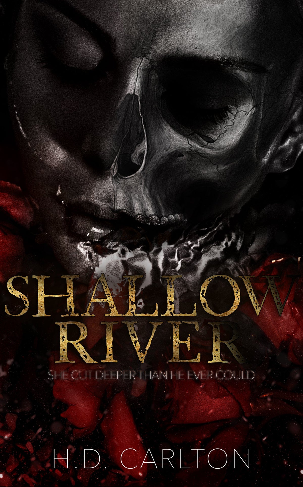 Shallow River Book by H. D. Carlton