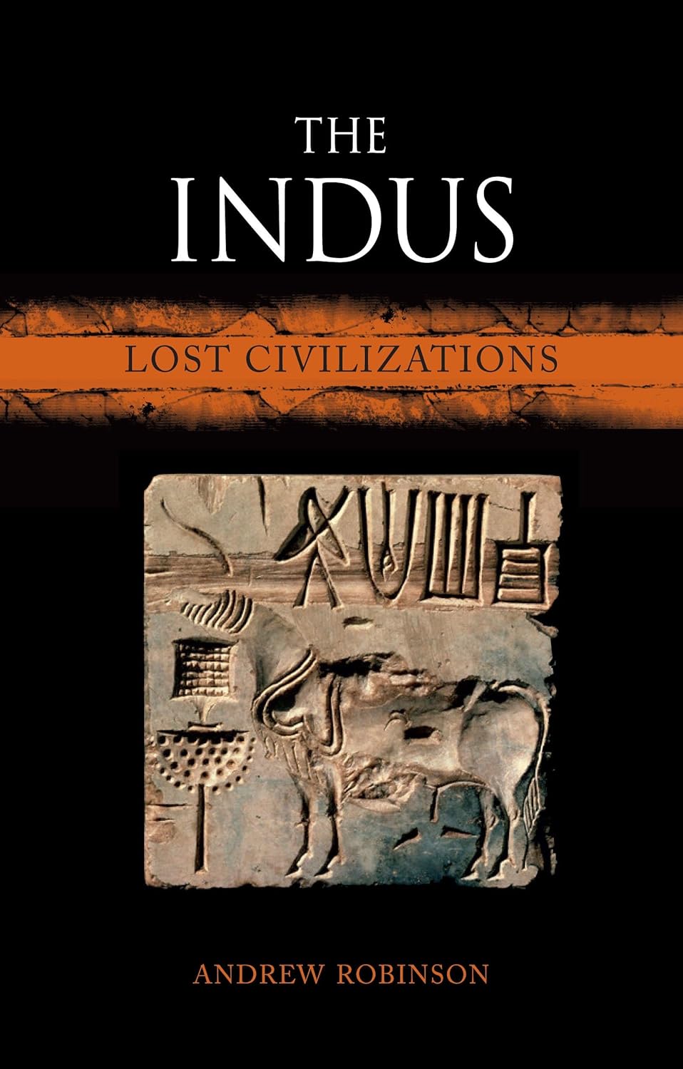The Indus: Lost Civilizations by Andrew Robinson
