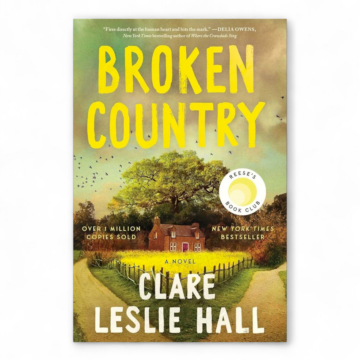 Broken Country by Clare Leslie Hall